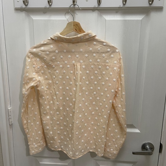 Copper Key Sheer Button Down Top with Polka Dots - Picture 3 of 4